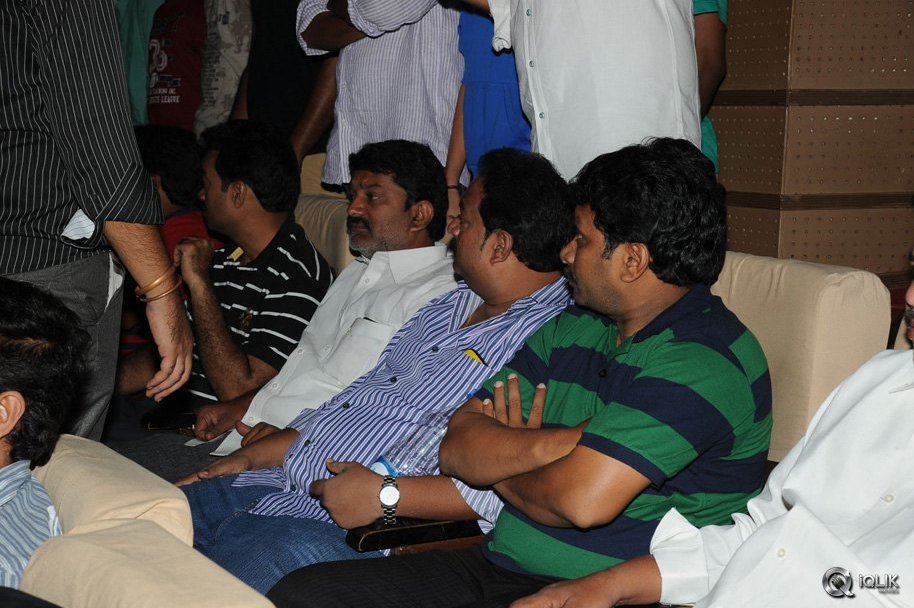 Srimanthudu-Movie-Hungama